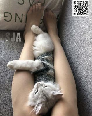 一个人看的视频www在线观看免费_HD动漫在线观看