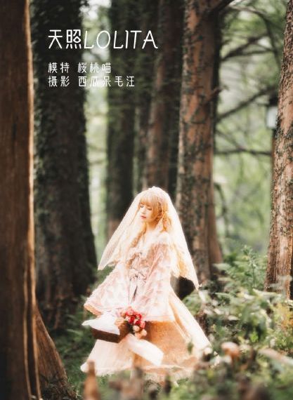无毒不卡在线观看_HD完整版观看